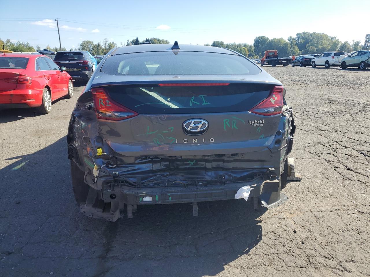 2019 Hyundai Ioniq Blue VIN: KMHC65LCXKU129708 Lot: 81239625