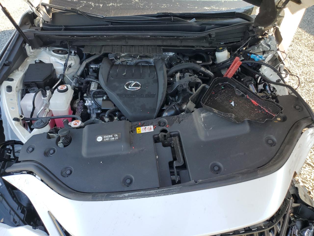 2024 Lexus Nx 350 Premium VIN: 2T2GGCEZXRC047862 Lot: 81339535