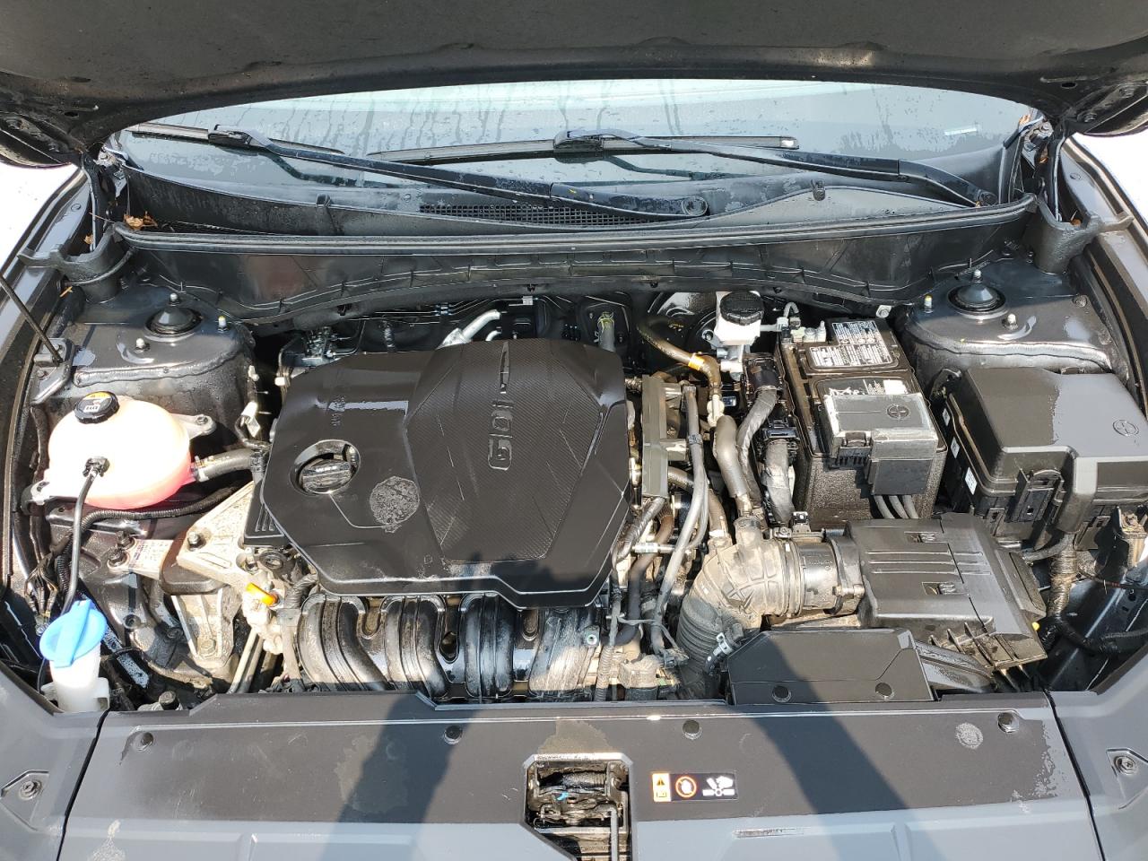 2022 Hyundai Tucson Limited VIN: 5NMJECAE8NH035684 Lot: 71252065