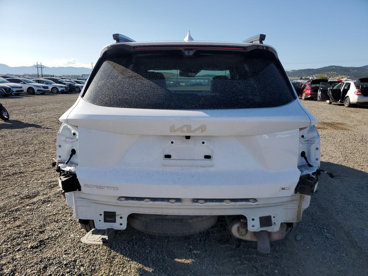 2024 Kia Sorento Sx VIN: 5XYRKDJF7RG251813 Lot: 80300895