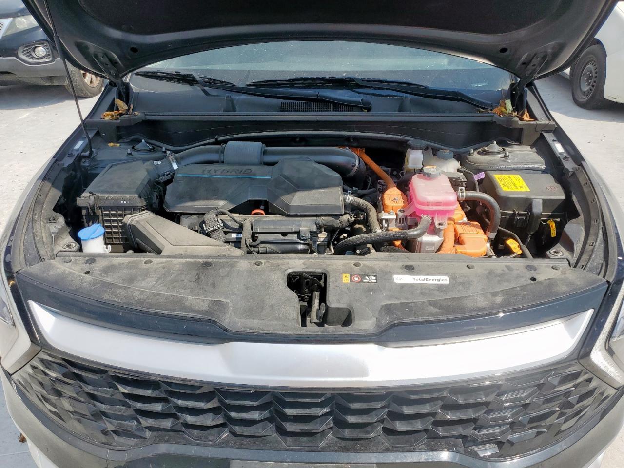 2023 Kia Sportage Ex VIN: KNDPVCAG0P7105393 Lot: 80067595