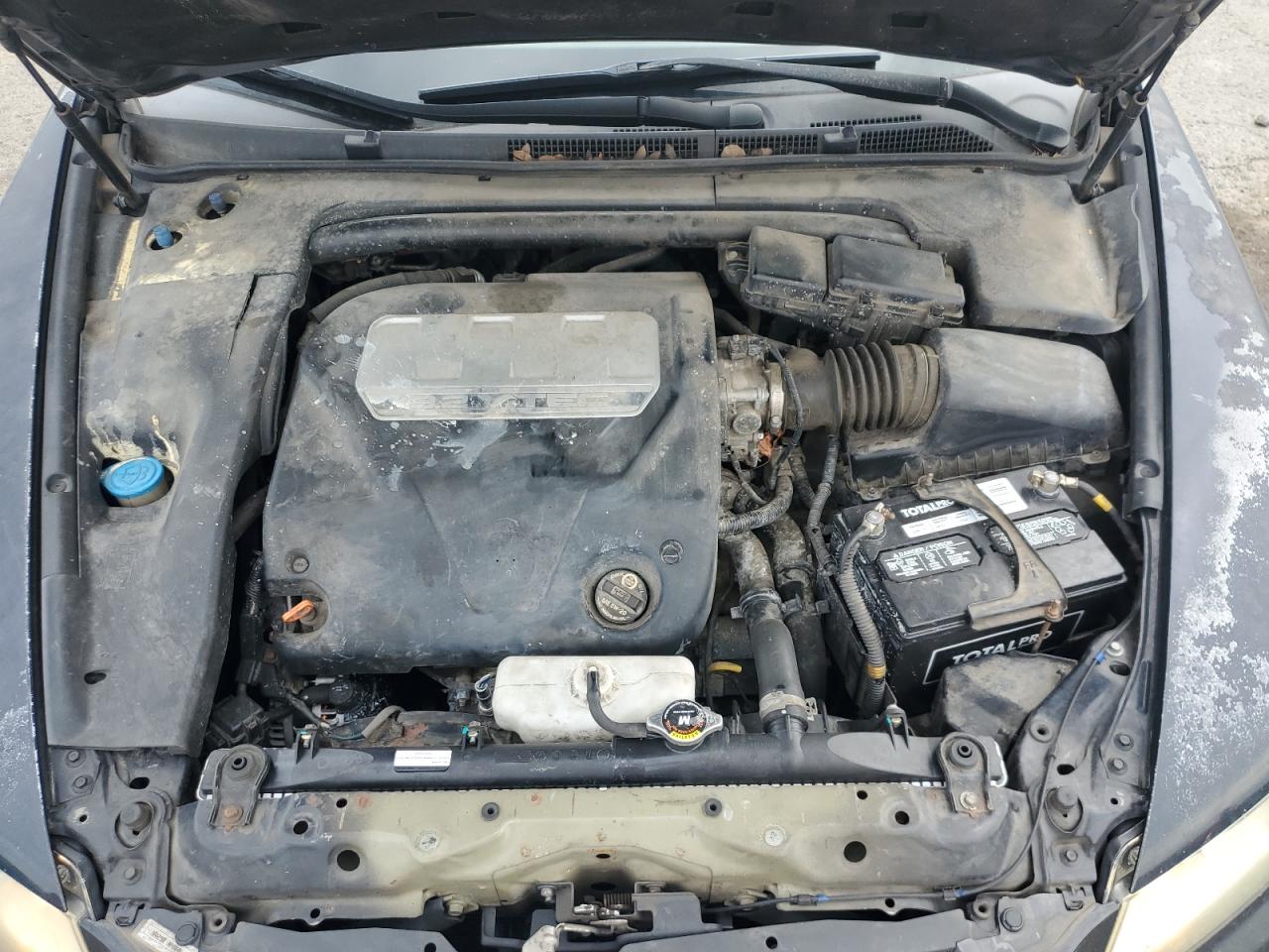 2007 Acura Tl VIN: 19UUA66267A036887 Lot: 81121945