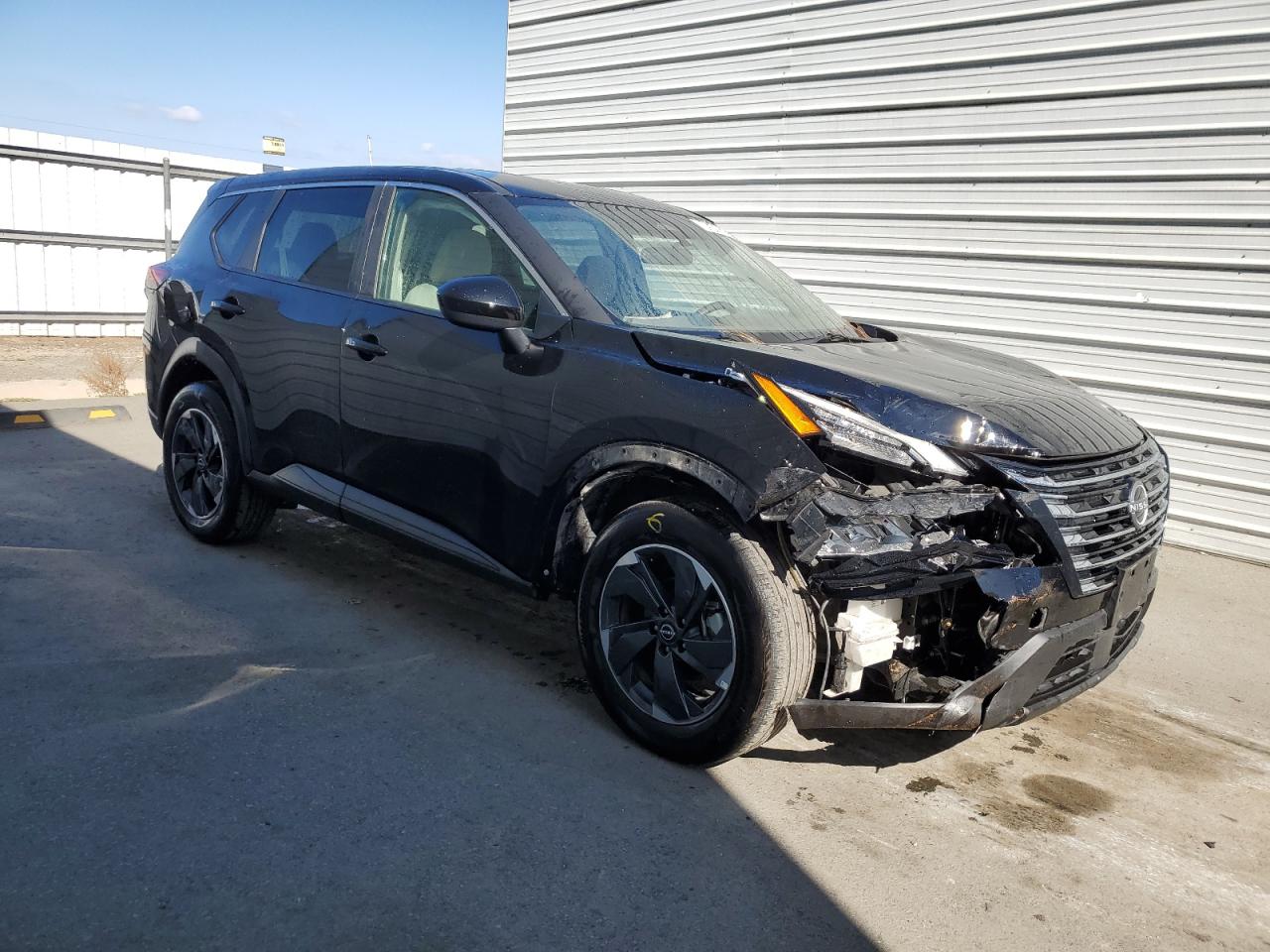 2025 Nissan Rogue Sv VIN: 5N1BT3BB0SC782202 Lot: 80545555