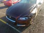2016 JAGUAR XF PORTFOLIO D AUTO  for sale at Copart SANDTOFT