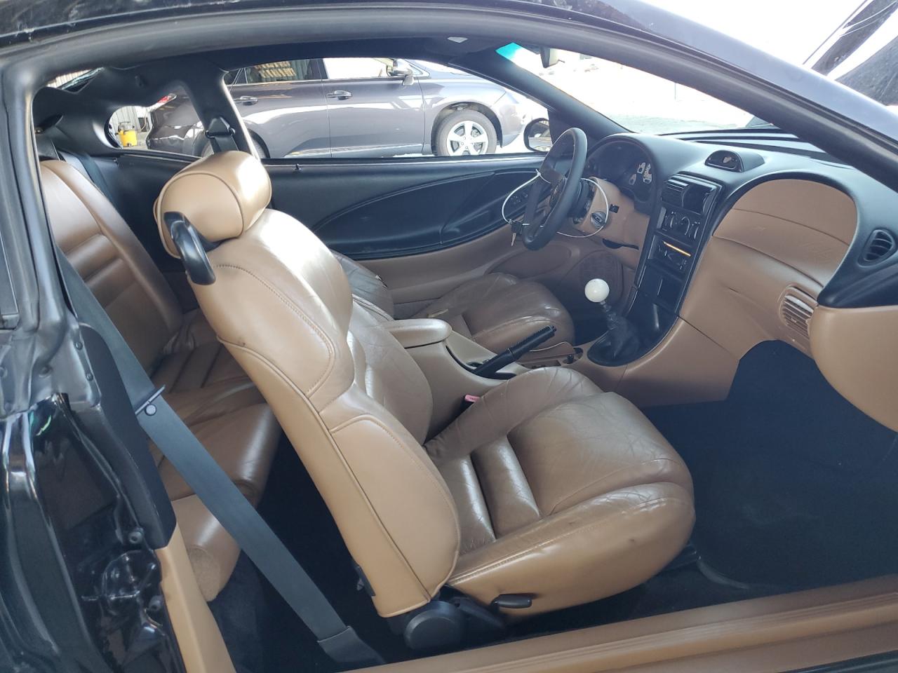 1997 Ford Mustang Cobra VIN: 1FALP47V6VF192682 Lot: 81831985