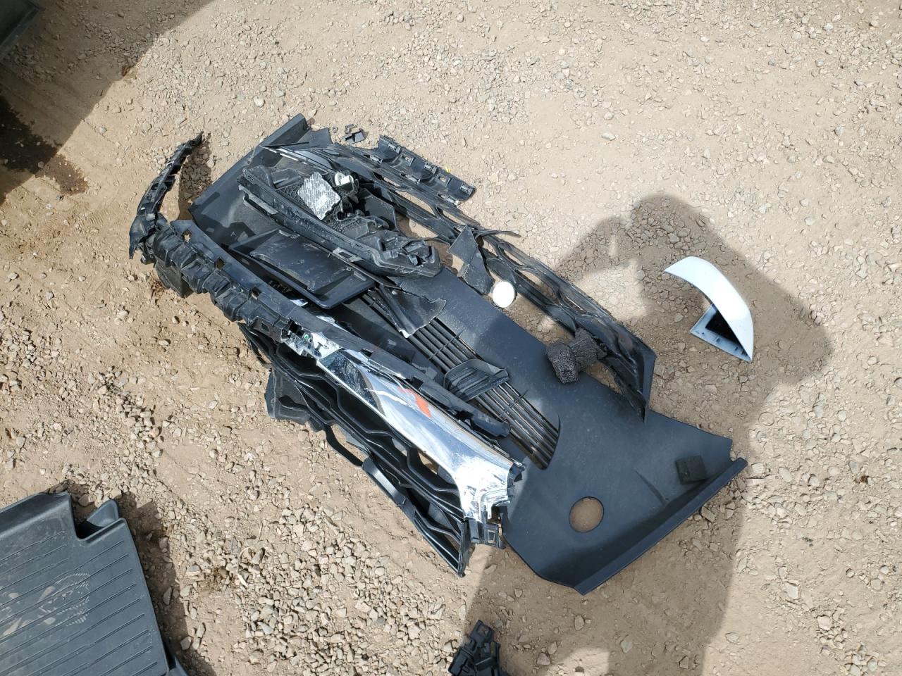 2024 Tesla Model Y VIN: 7SAYGDEE8RF205643 Lot: 80568525