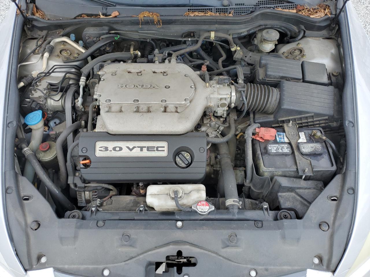 2005 Honda Accord Ex VIN: 1HGCM66525A066818 Lot: 81006345