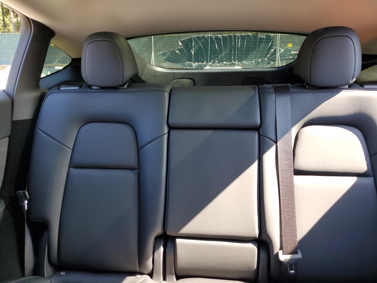 2024 Tesla Model Y VIN: 7SAYGDEE8RF115070 Lot: 81247725