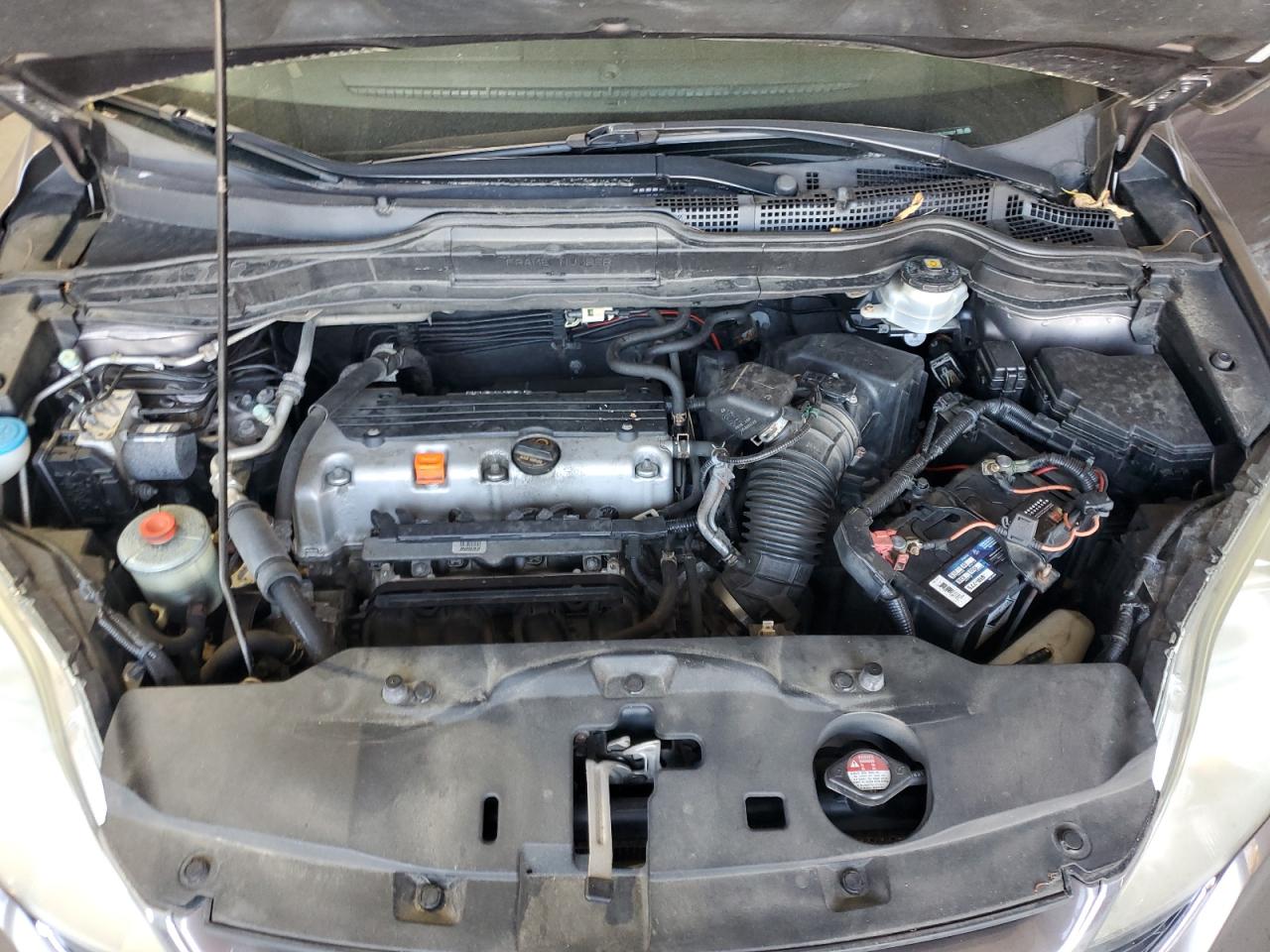 2011 Honda Cr-V Exl VIN: 5J6RE4H71BL011487 Lot: 81910795