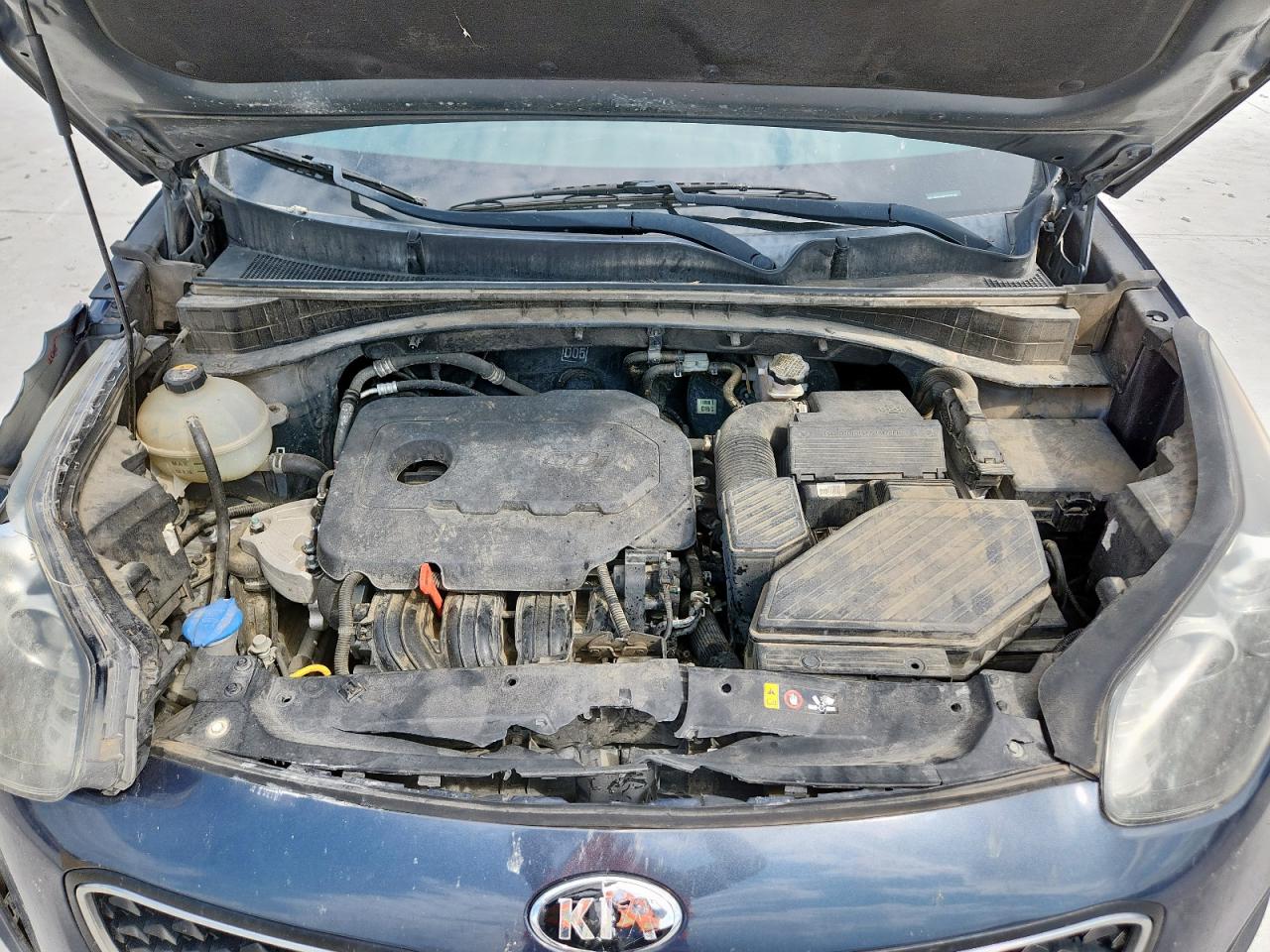 2019 Kia Sportage Lx VIN: KNDPM3AC2K7532468 Lot: 81086025