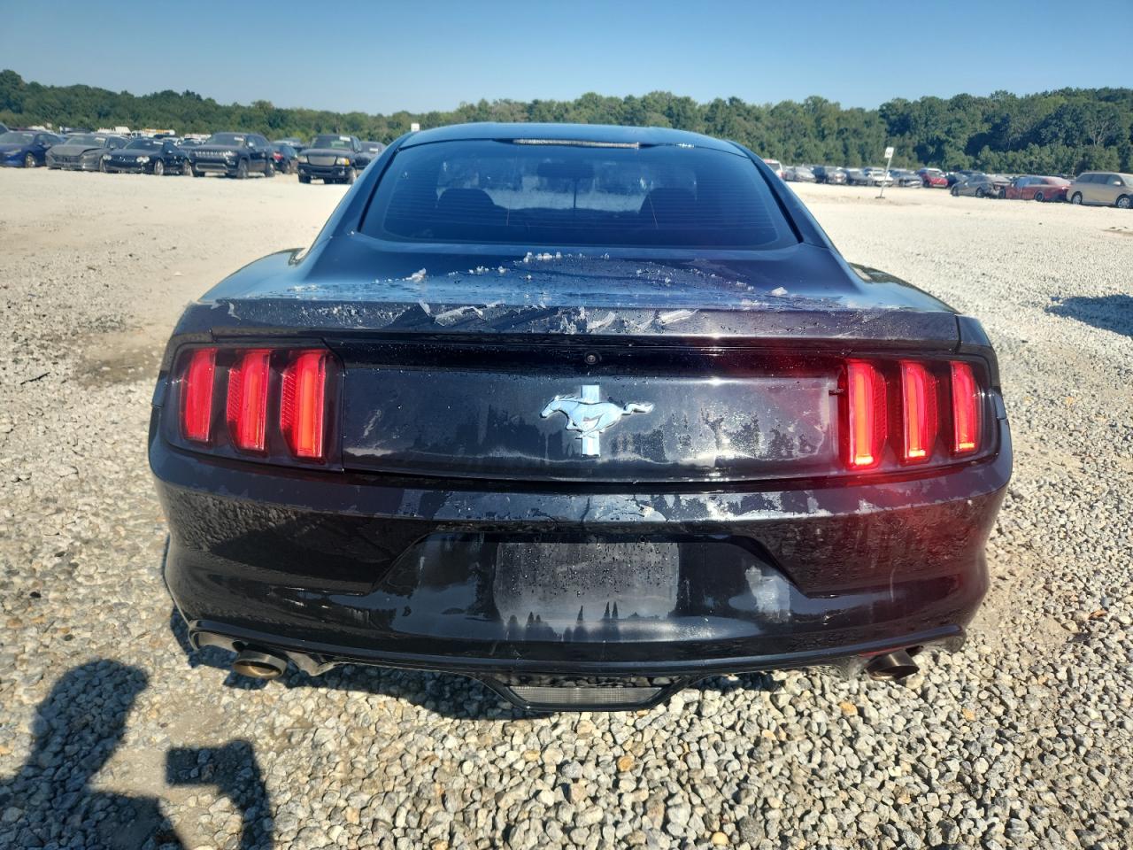 2015 Ford Mustang VIN: 1FA6P8AM1F5317096 Lot: 80432285