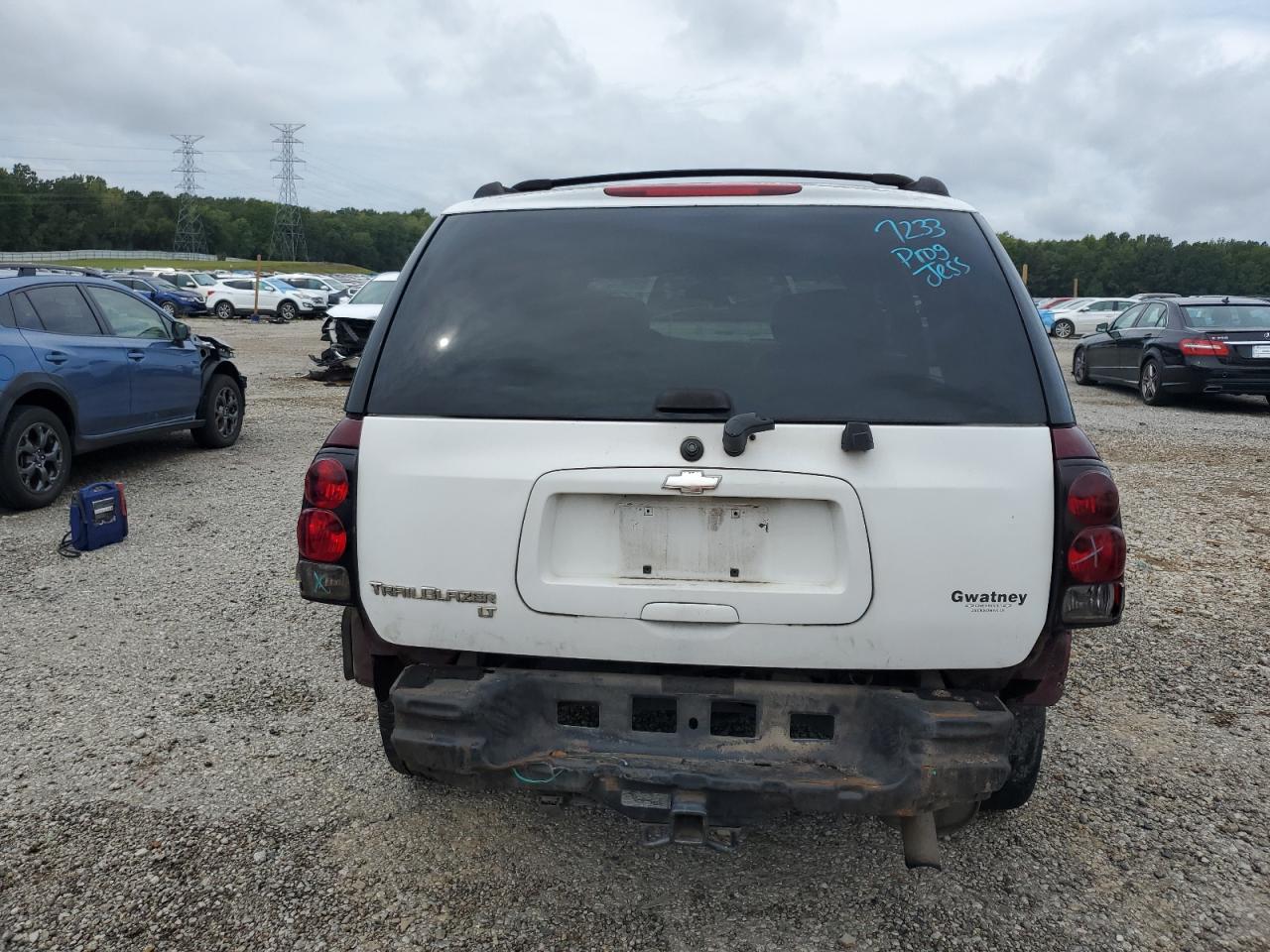 2004 Chevrolet Trailblazer Ls VIN: 1GNDS13S842317377 Lot: 82035225