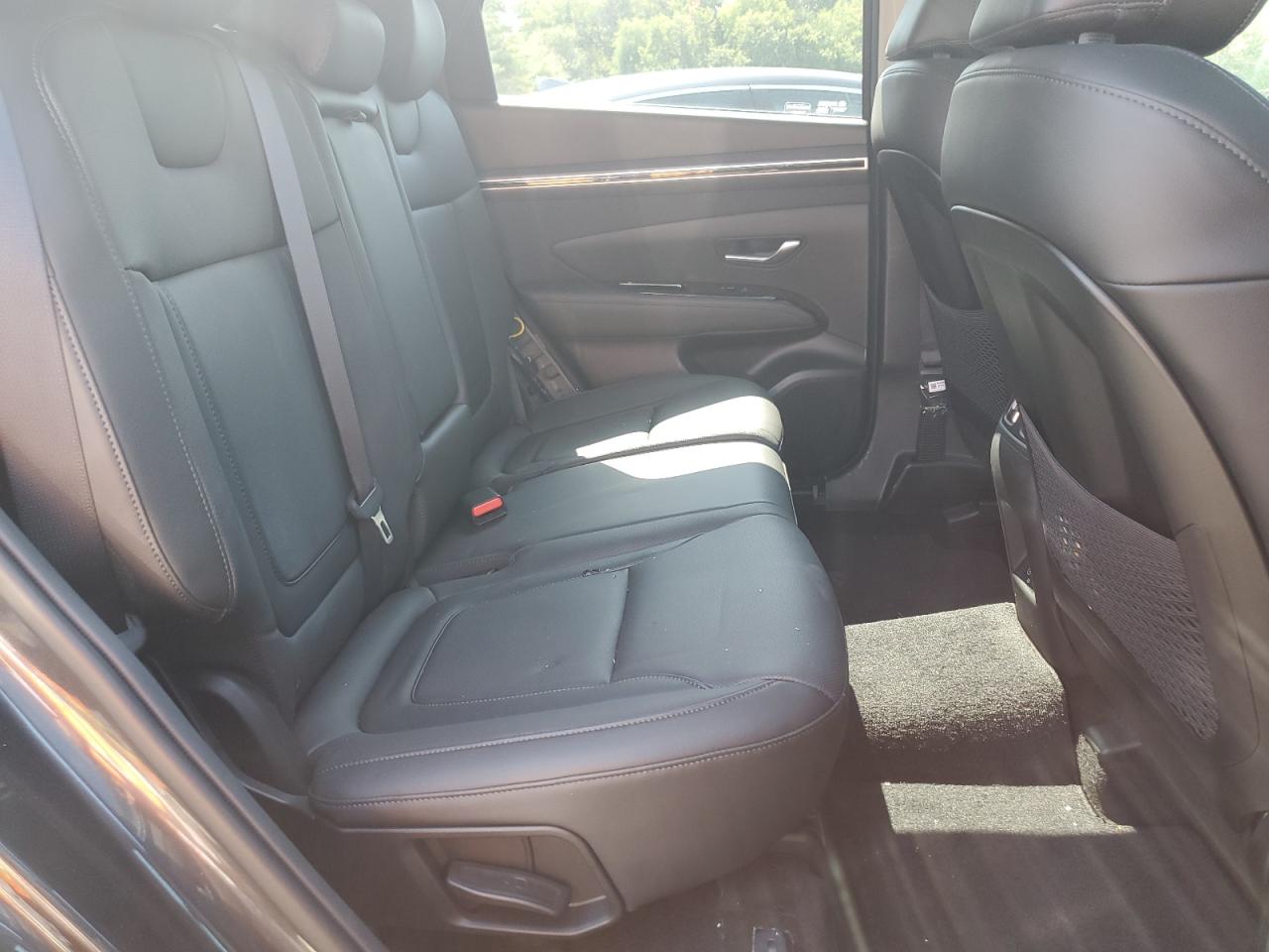 2024 Hyundai Tucson Limited VIN: 5NMJECDEXRH344316 Lot: 80693895