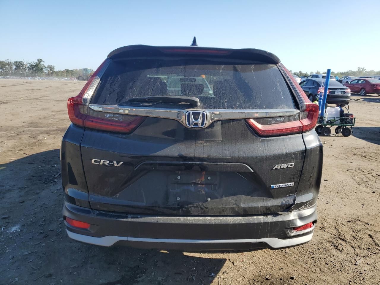 2022 Honda Cr-V Ex VIN: 5J6RT6H55NL037935 Lot: 71808545