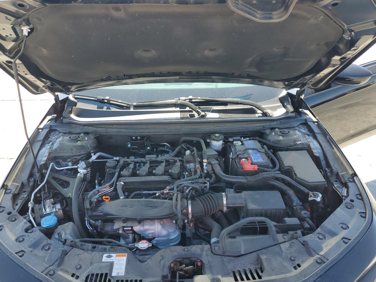 2023 Honda Accord Ex VIN: 1HGCY1F39PA056540 Lot: 81055985