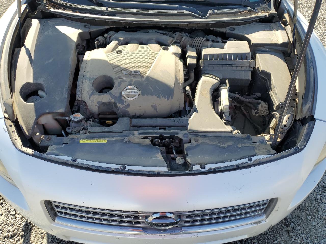 2009 Nissan Maxima S VIN: 1N4AA51E89C822068 Lot: 69349415