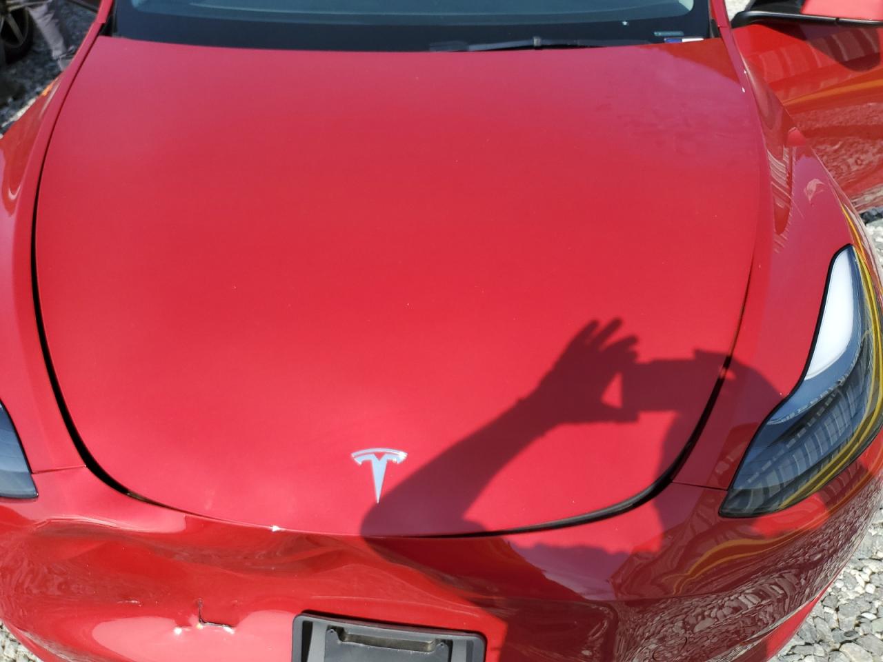 2023 Tesla Model Y VIN: 7SAYGDEE7PA171379 Lot: 84025795