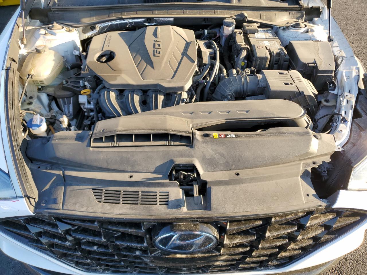 2020 Hyundai Sonata Sel VIN: 5NPEL4JAXLH000560 Lot: 80331065