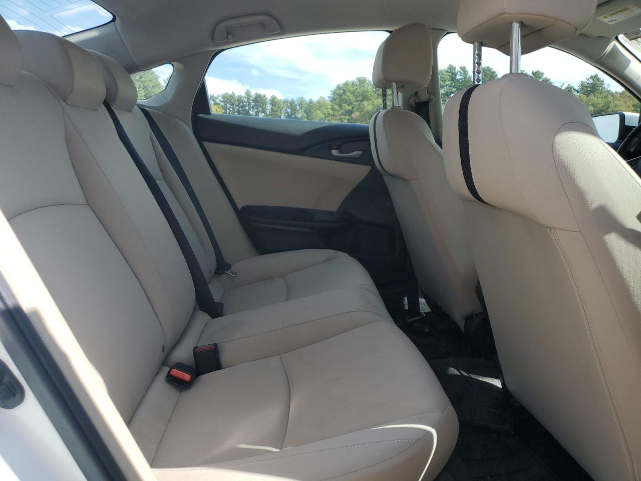 2019 Honda Civic Lx VIN: 2HGFC2F64KH557650 Lot: 80548015