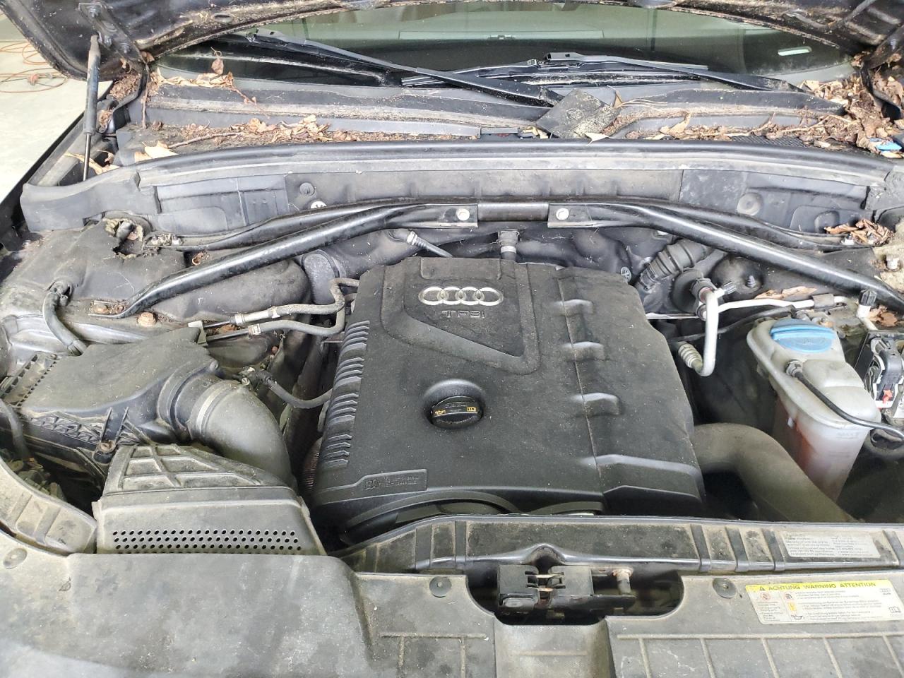 2013 Audi Q5 Premium Plus VIN: WA1LFAFPXDA072629 Lot: 84565475