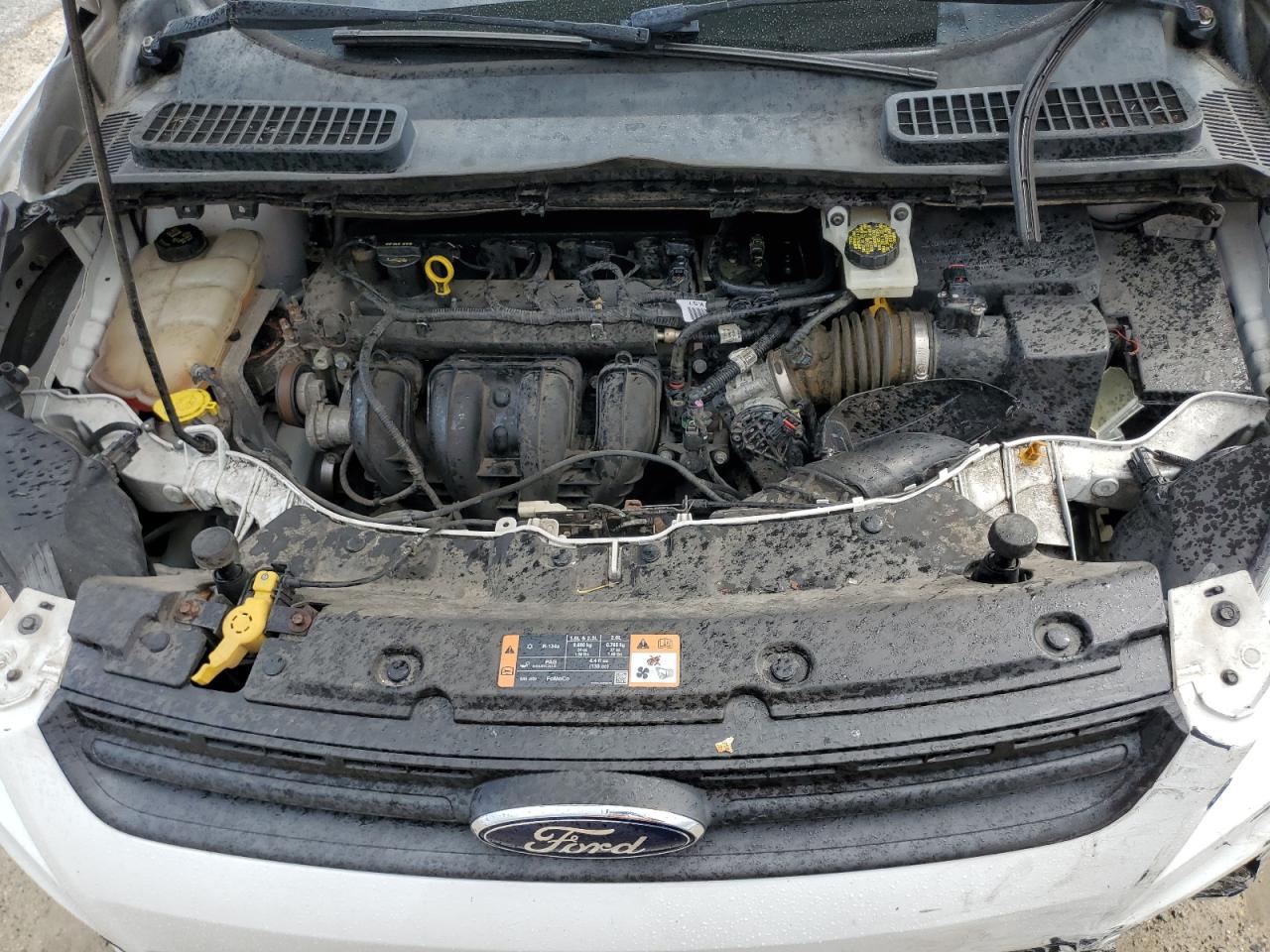 2014 Ford Escape S VIN: 1FMCU0F76EUC39571 Lot: 72006015