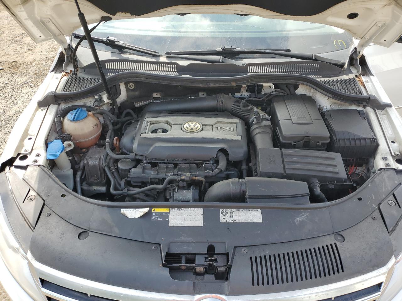 2013 Volkswagen Cc Sport VIN: WVWBP7AN9DE559854 Lot: 82026665