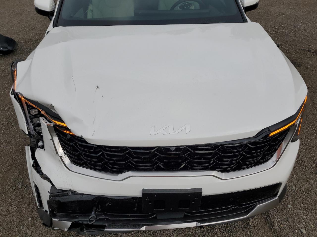 2025 Kia Sorento Sx Prestige VIN: KNDRMDJH9S5410244 Lot: 80402675