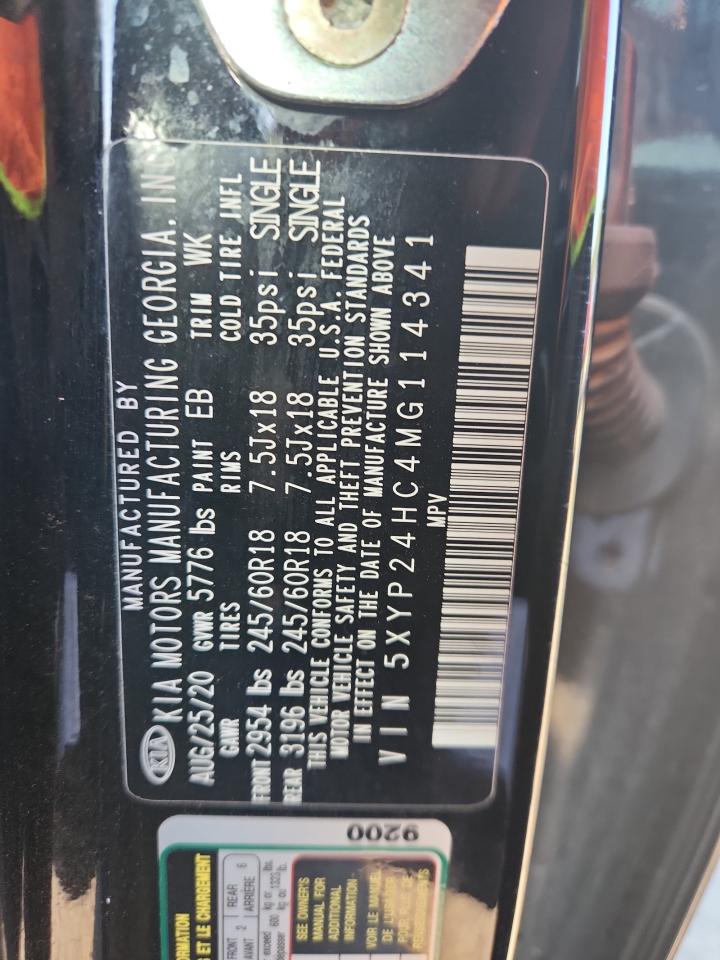 2021 Kia Telluride Lx VIN: 5XYP24HC4MG114341 Lot: 81280595