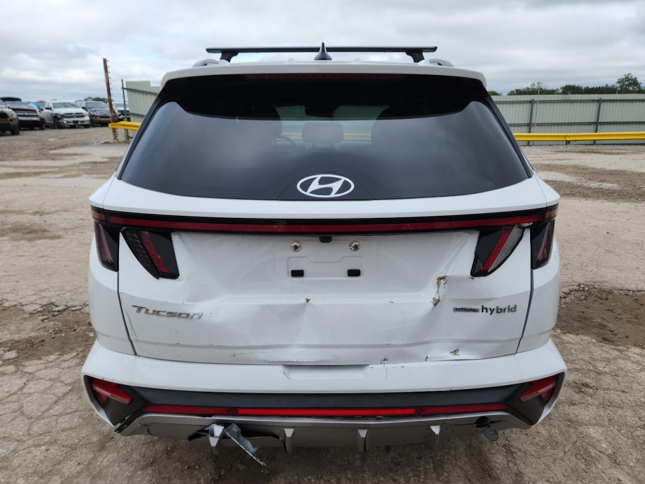 2024 Hyundai Tucson N Line VIN: KM8JFCD10RU181951 Lot: 81511685