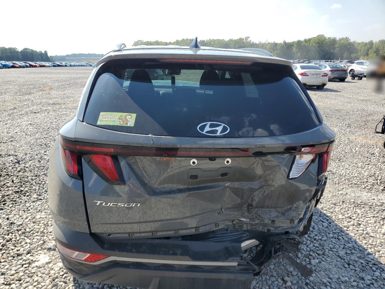 2024 Hyundai Tucson Sel VIN: 5NMJB3DE8RH308942 Lot: 81044595