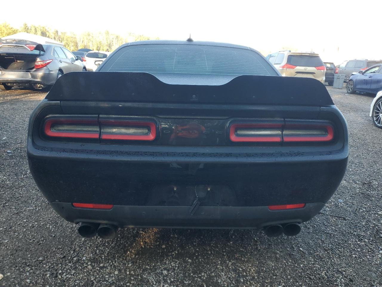2021 Dodge Challenger R/T VIN: 2C3CDZBT5MH559563 Lot: 80521905