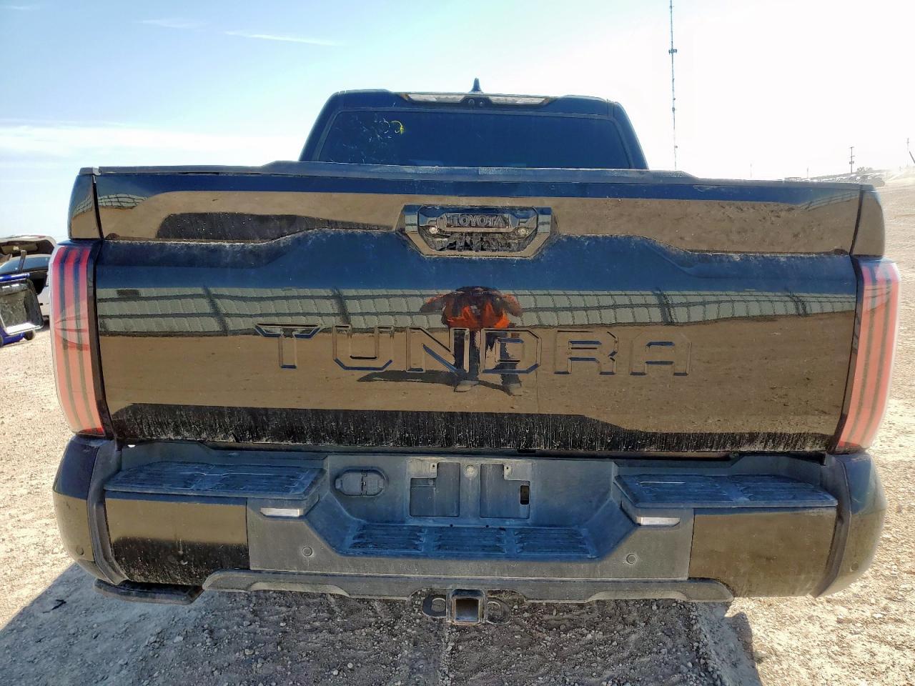 2022 Toyota Tundra Crewmax Platinum VIN: 5TFNA5AB5NX004060 Lot: 71491495