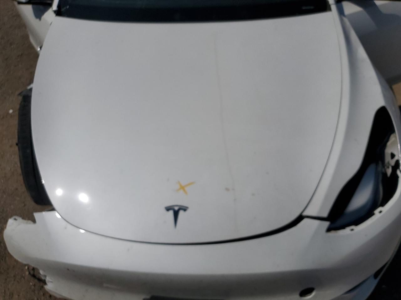 2023 Tesla Model Y VIN: LRWYGDEE5PC028568 Lot: 80392465