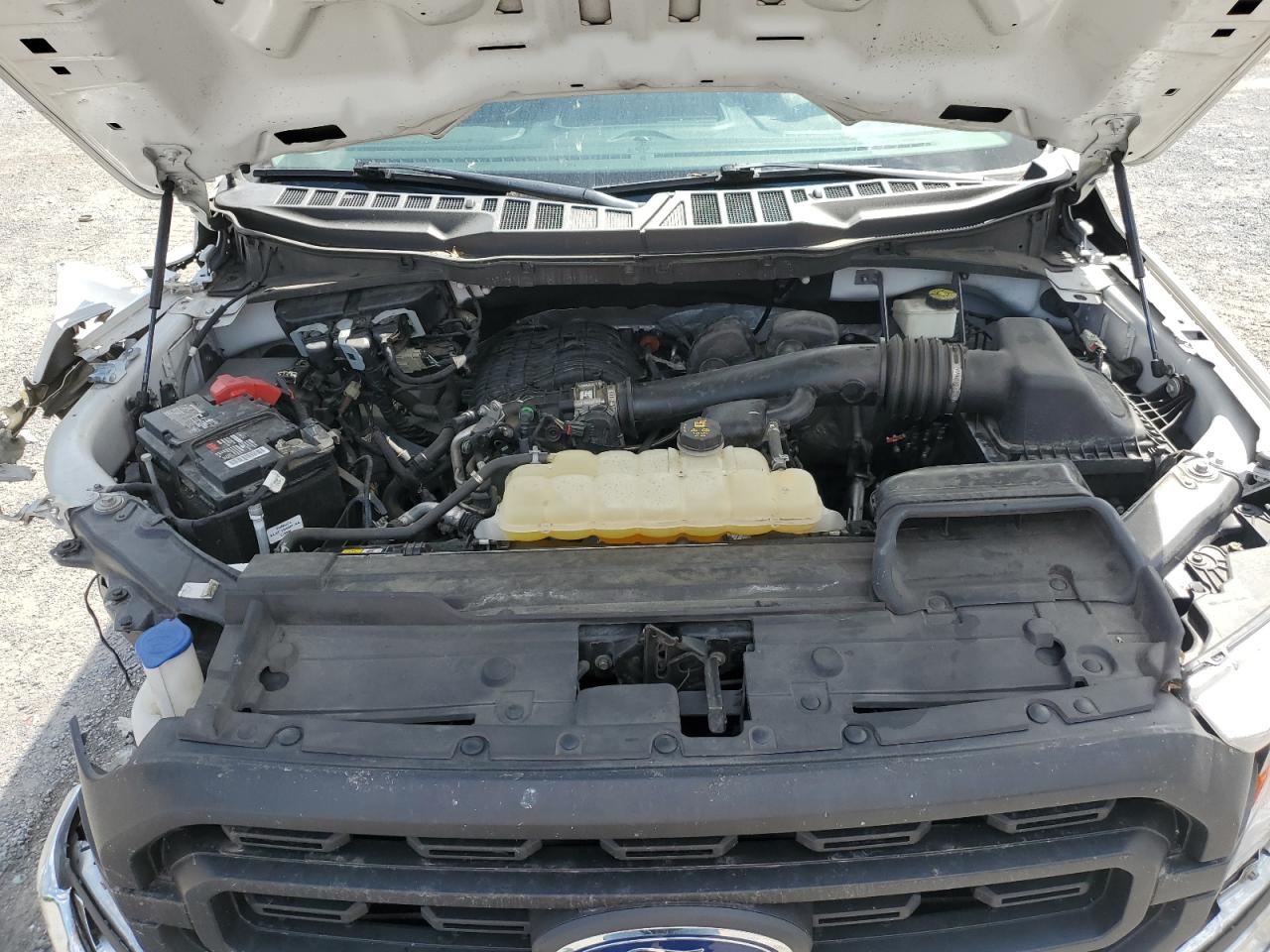 2021 Ford F150 VIN: 1FTMF1CB5MKE80212 Lot: 80472815