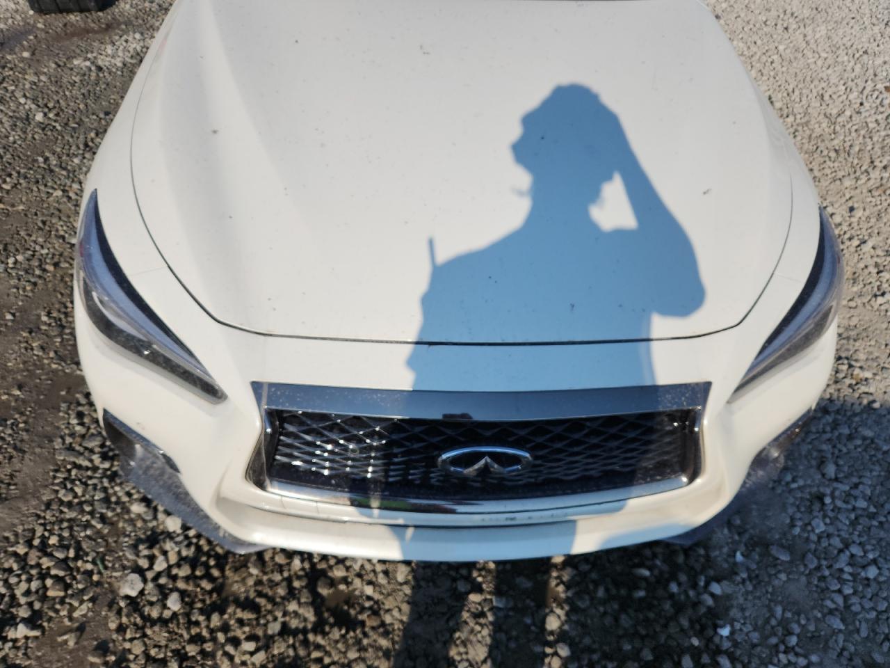 2021 Infiniti Q50 Sensory VIN: JN1EV7CP3MM706583 Lot: 81522545