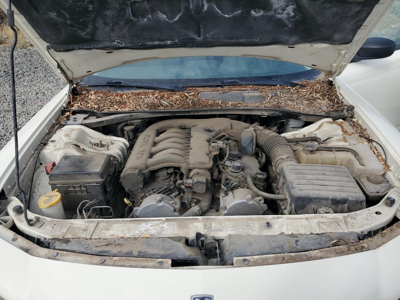 2008 Dodge Charger VIN: 2B3KA43G78H331527 Lot: 80802625