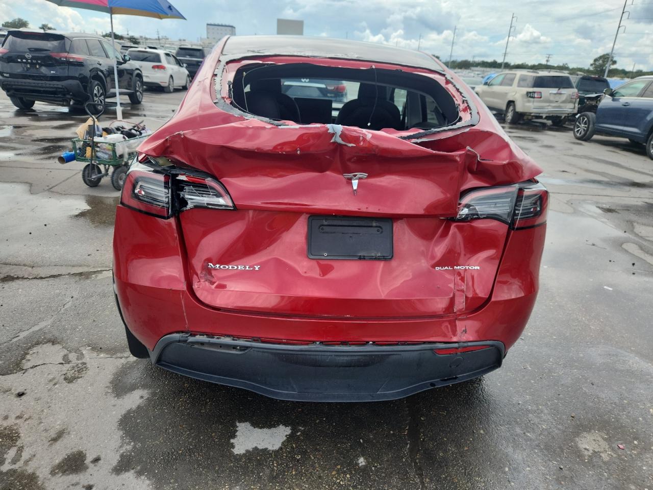 2023 Tesla Model Y VIN: 7SAYGDEE3PA029336 Lot: 81569825