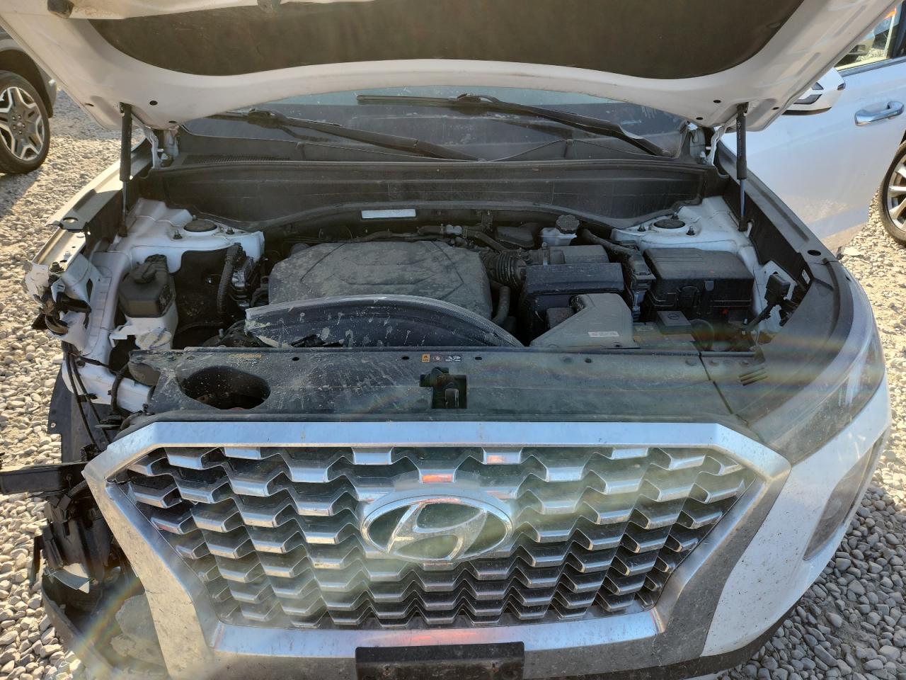 2020 Hyundai Palisade Sel VIN: KM8R2DHEXLU044881 Lot: 80876265