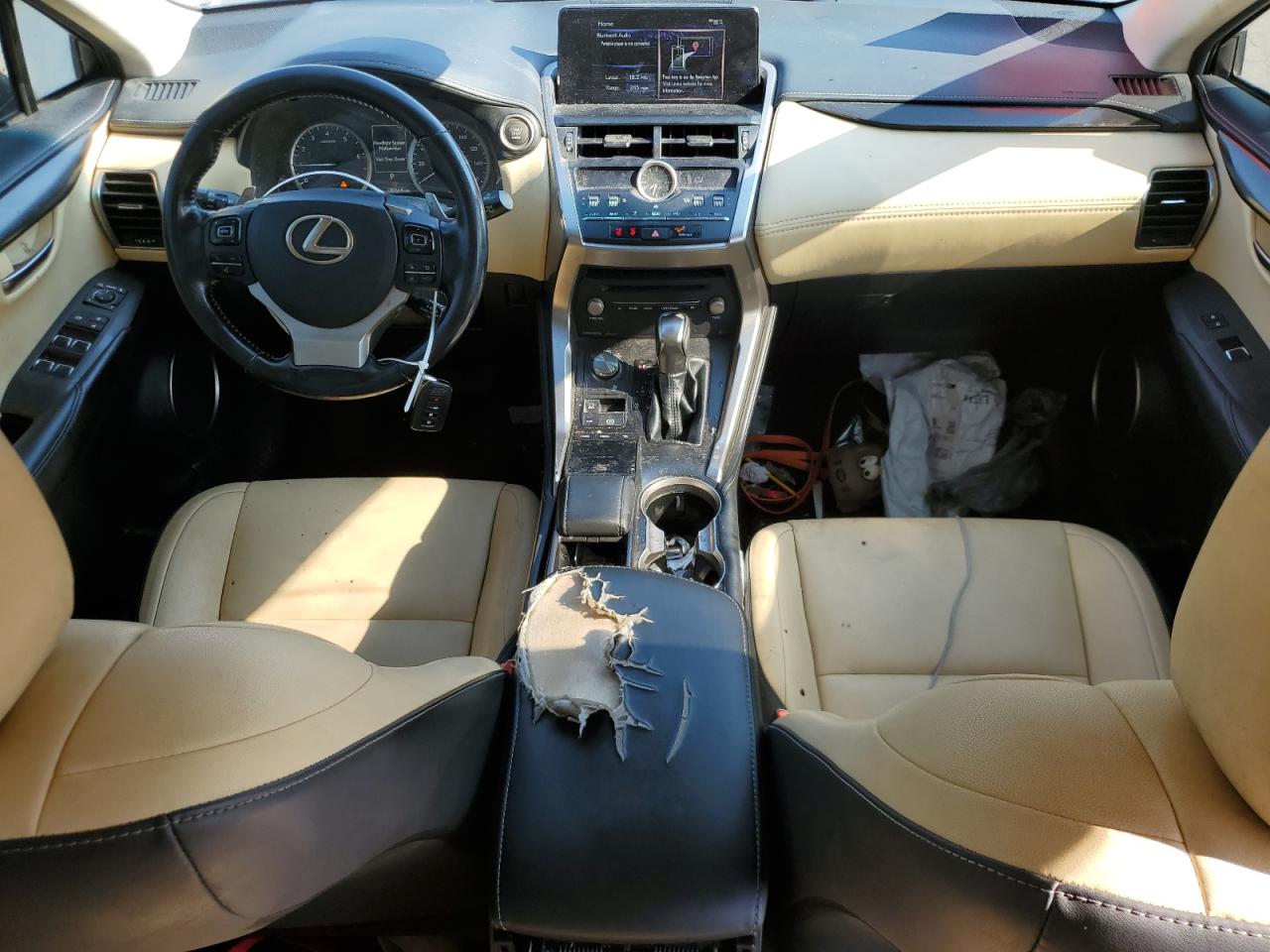 2019 Lexus Nx 300 Base VIN: JTJYARBZ7K2125789 Lot: 80750355