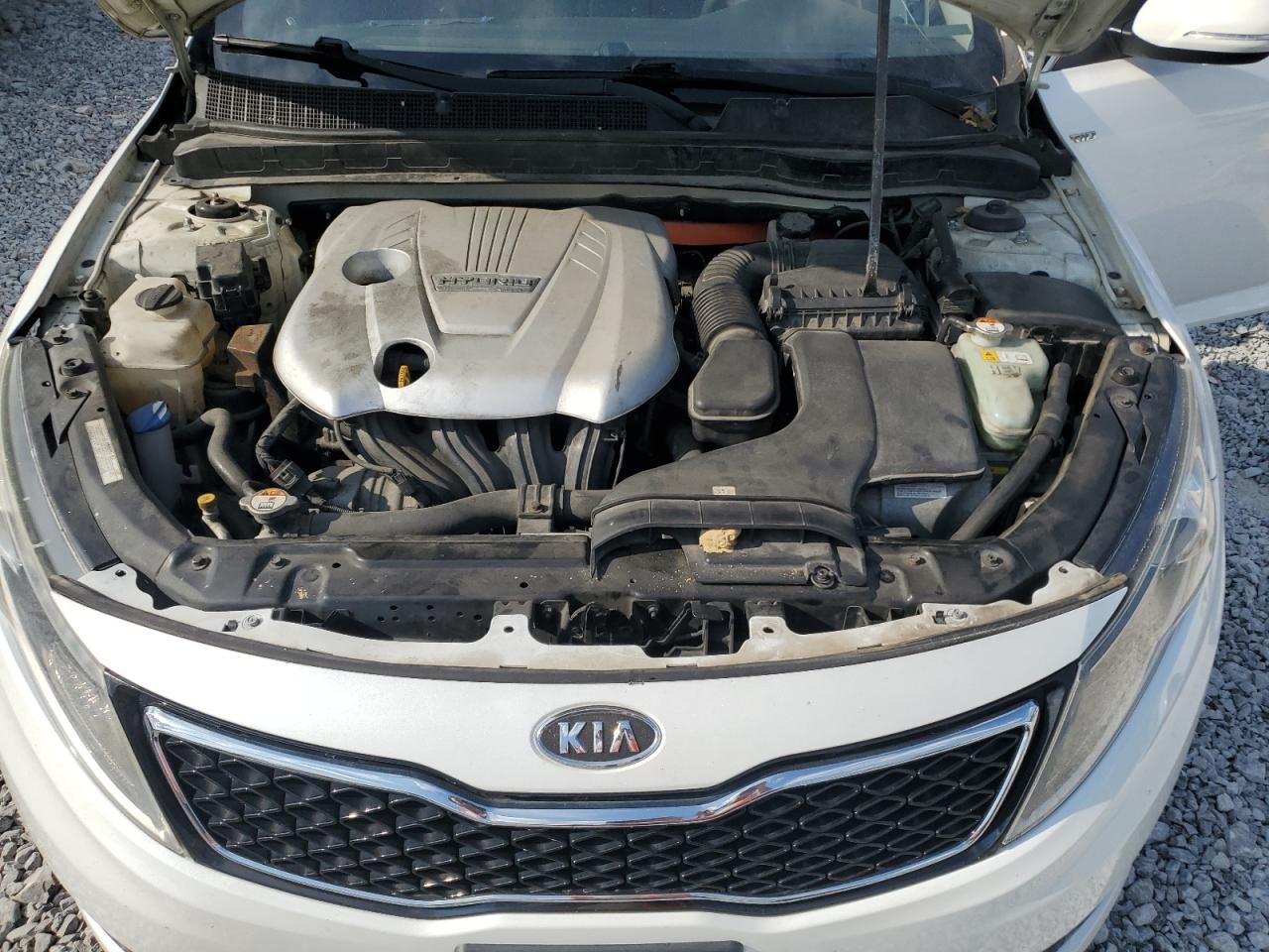 2015 Kia Optima Lx VIN: KNAGM4A79F5635426 Lot: 71906345