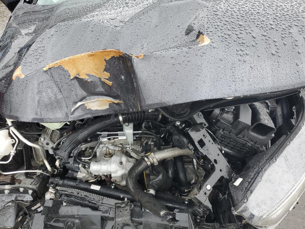 2019 Honda Cr-V Touring VIN: 2HKRW2H99KH601434 Lot: 81116485