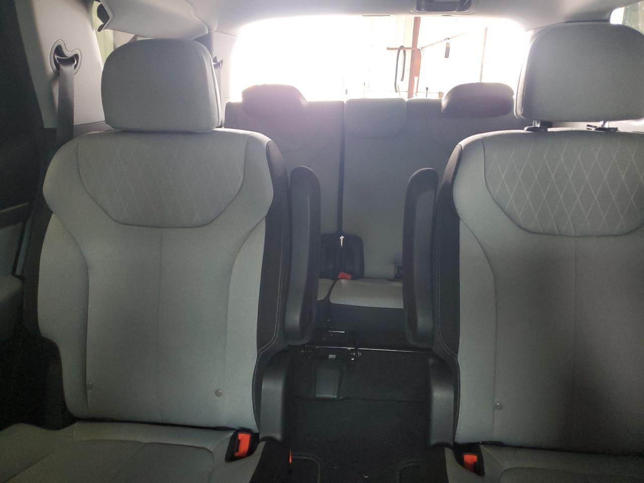 2020 Hyundai Palisade Sel VIN: KM8R2DHE8LU034169 Lot: 81744315