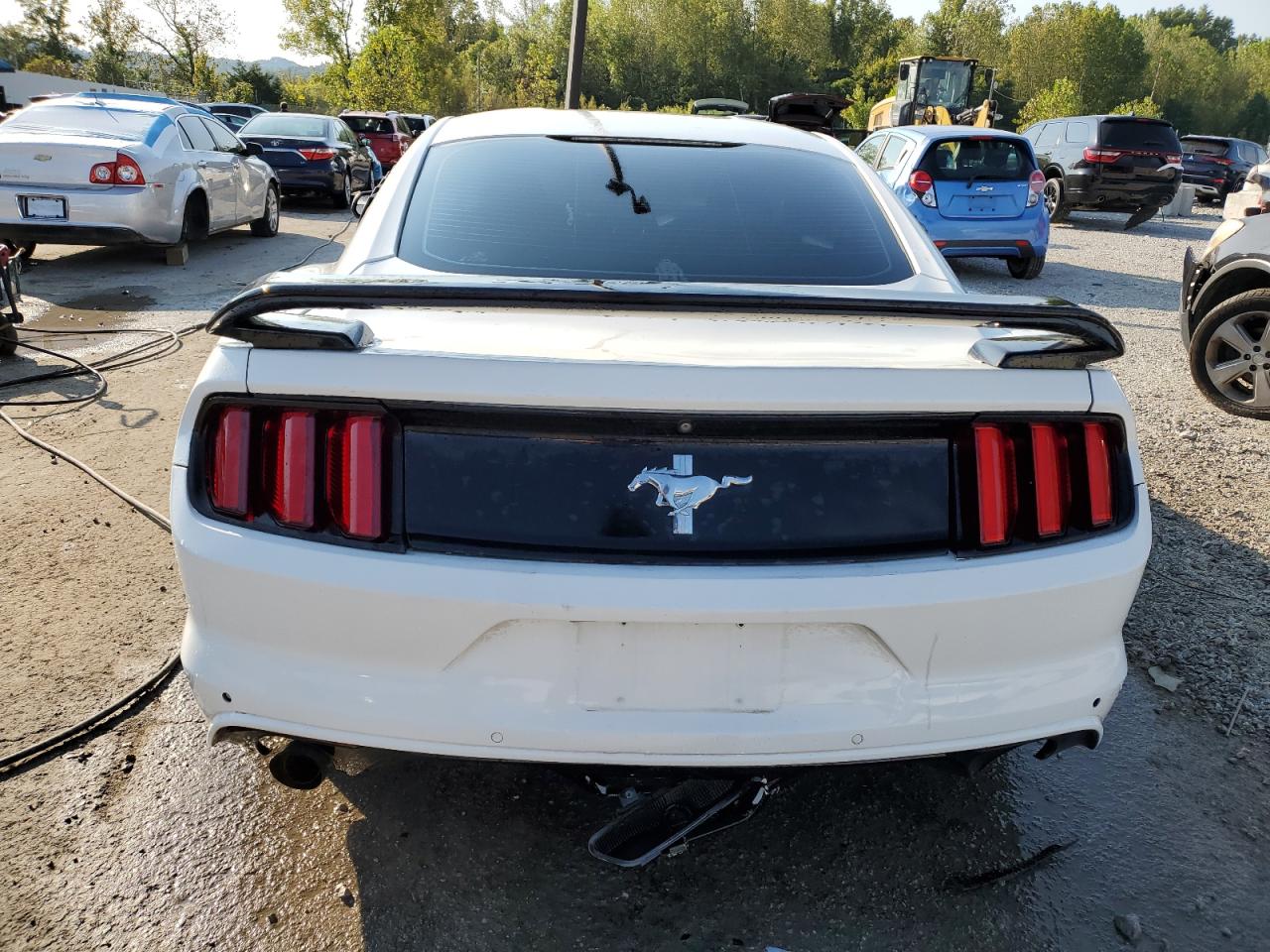 2016 Ford Mustang VIN: 1FA6P8AM6G5210367 Lot: 71900705