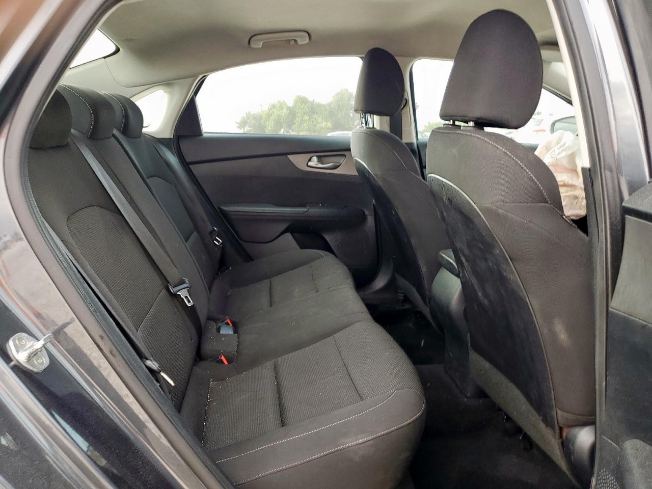 2019 Kia Forte Fe VIN: 3KPF24AD0KE122879 Lot: 83856035