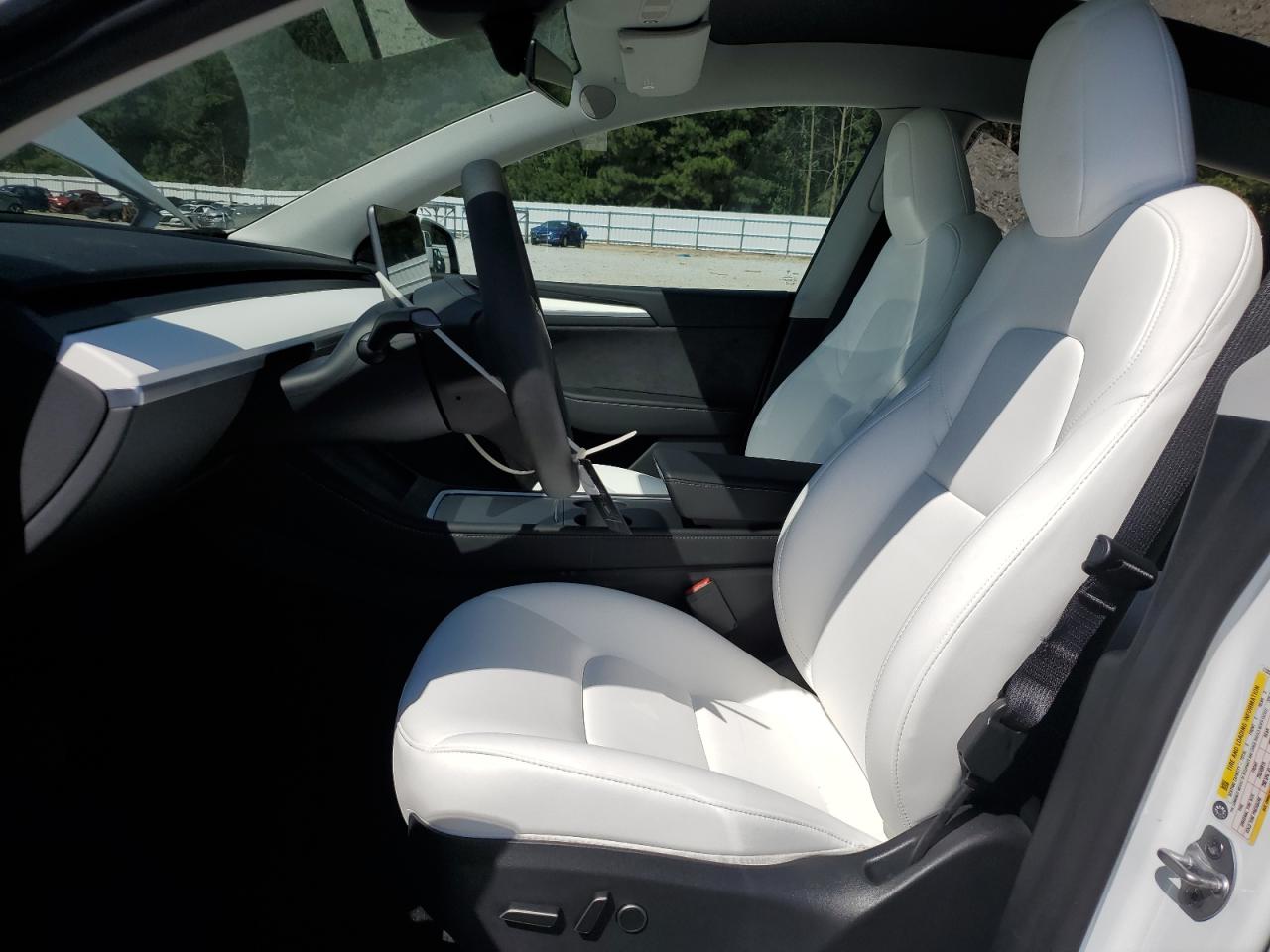 2023 Tesla Model Y VIN: 7SAYGDEE0PA173250 Lot: 80202815