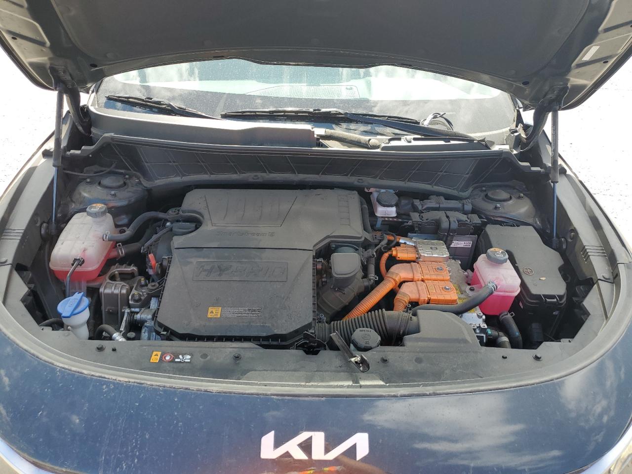 2024 Kia Niro Ex VIN: KNDCR3LE6R5143546 Lot: 82138255