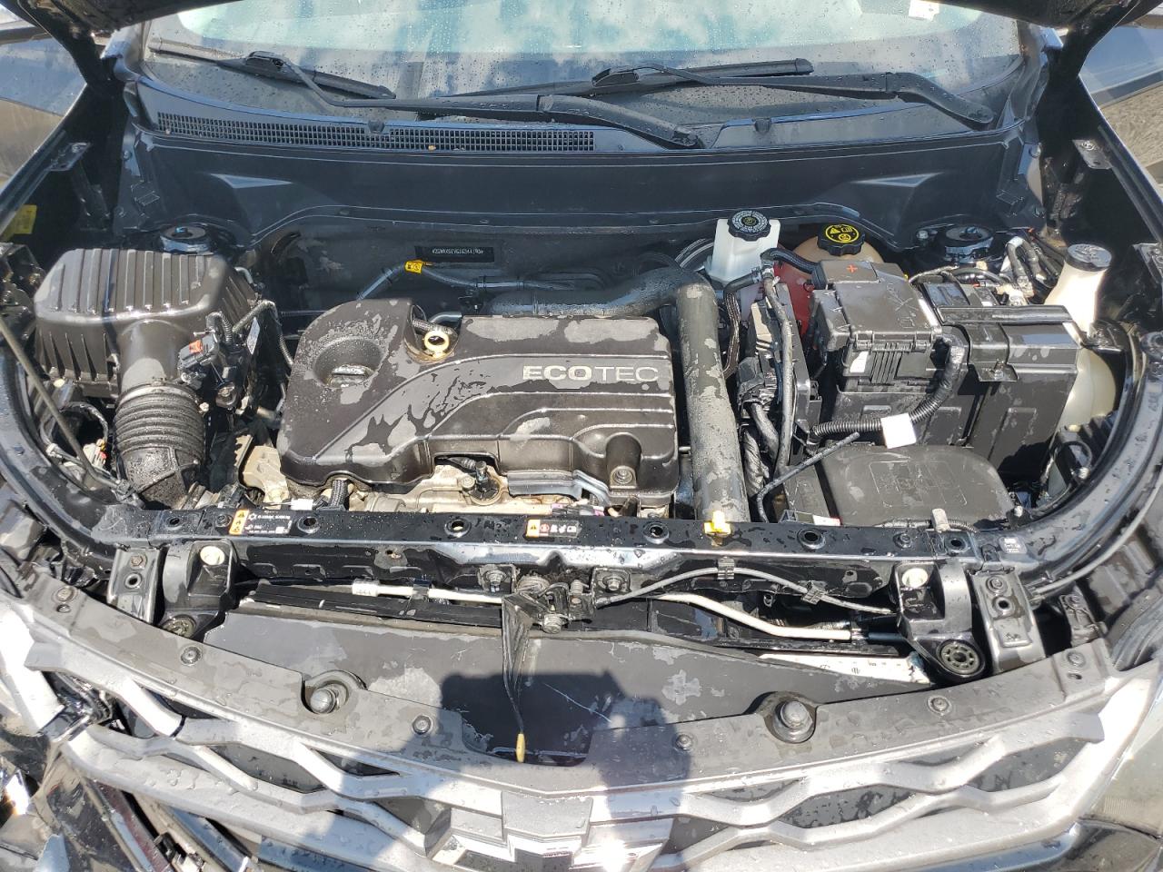 2018 Chevrolet Equinox Lt VIN: 2GNAXSEV6J6344190 Lot: 81036645