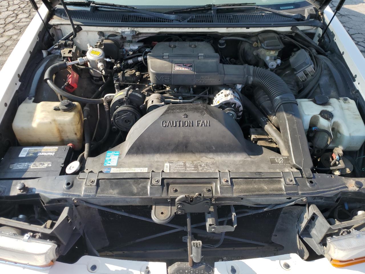 1993 Buick Roadmaster Limited VIN: 1G4BT5372PR428580 Lot: 80327685