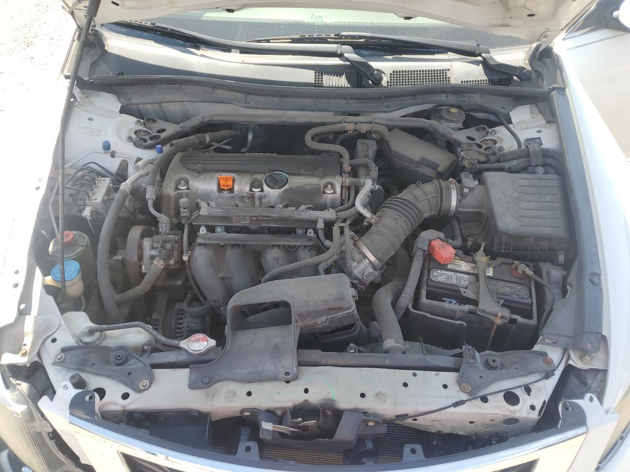 2010 Honda Accord Exl VIN: 1HGCP2F81AA053255 Lot: 80080785