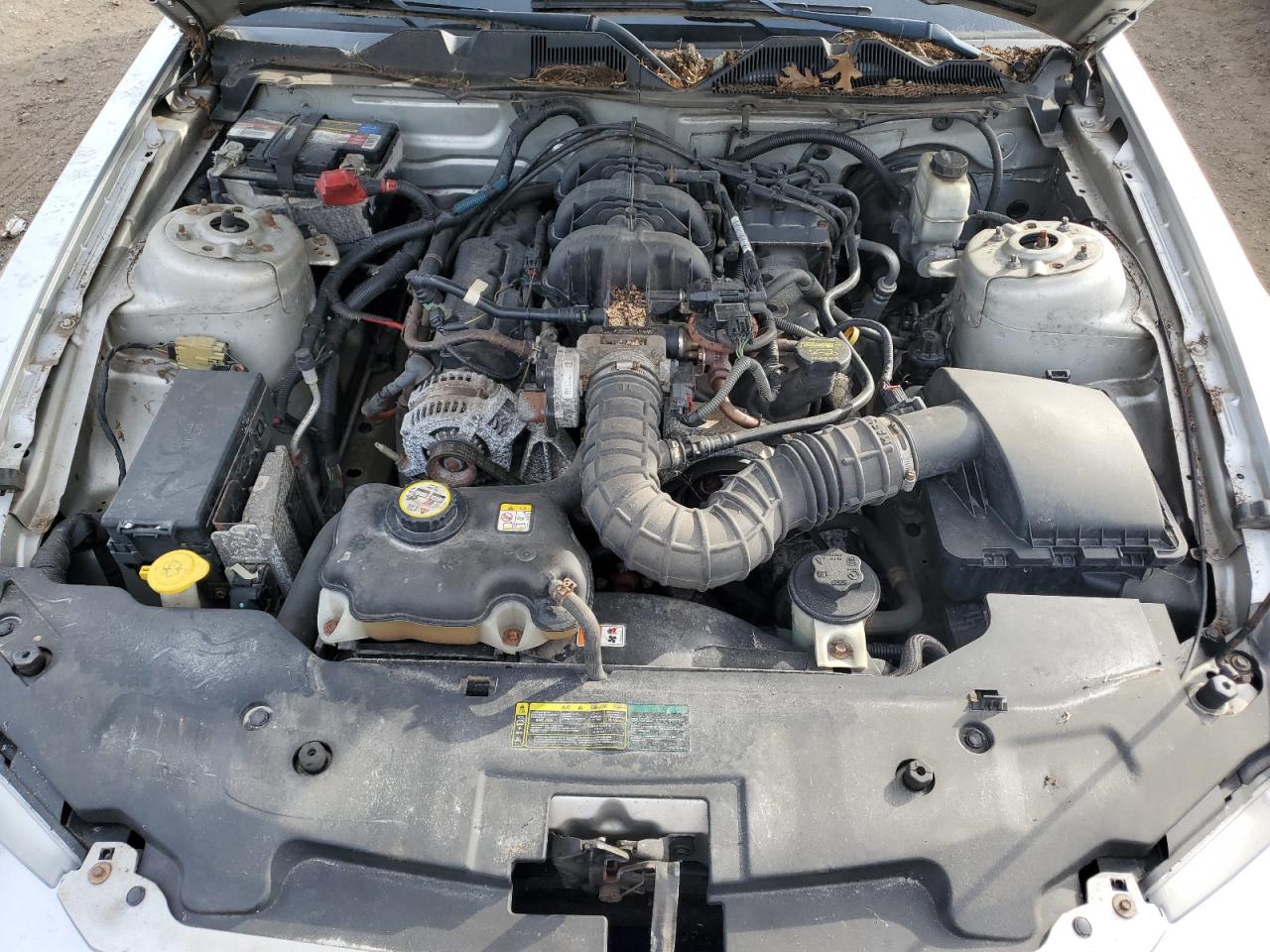 2010 Ford Mustang VIN: 1ZVBP8EN2A5122013 Lot: 84057095